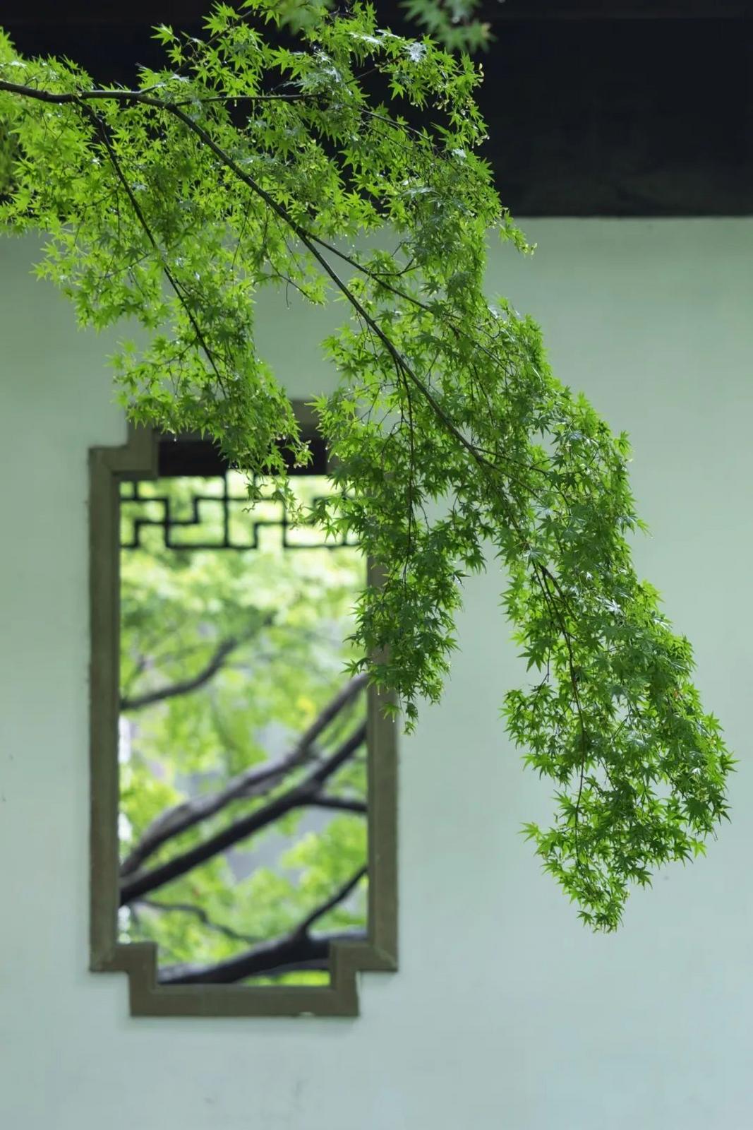 微信图片_20250612124401.jpg