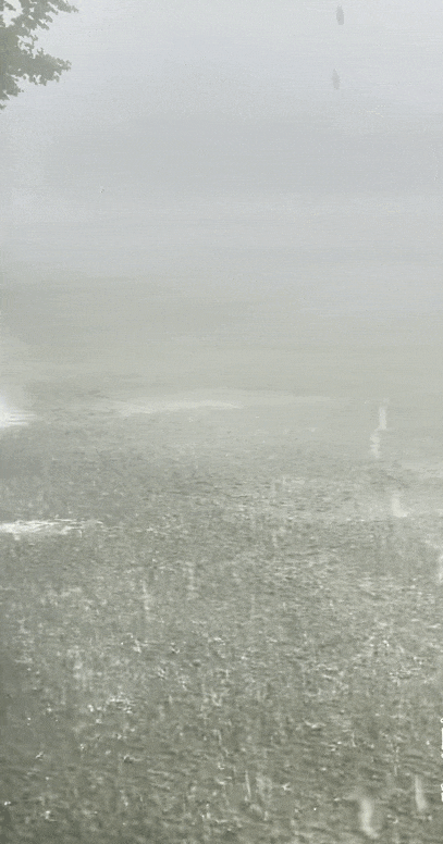 GIF 2025-7-25 13-04-35.gif