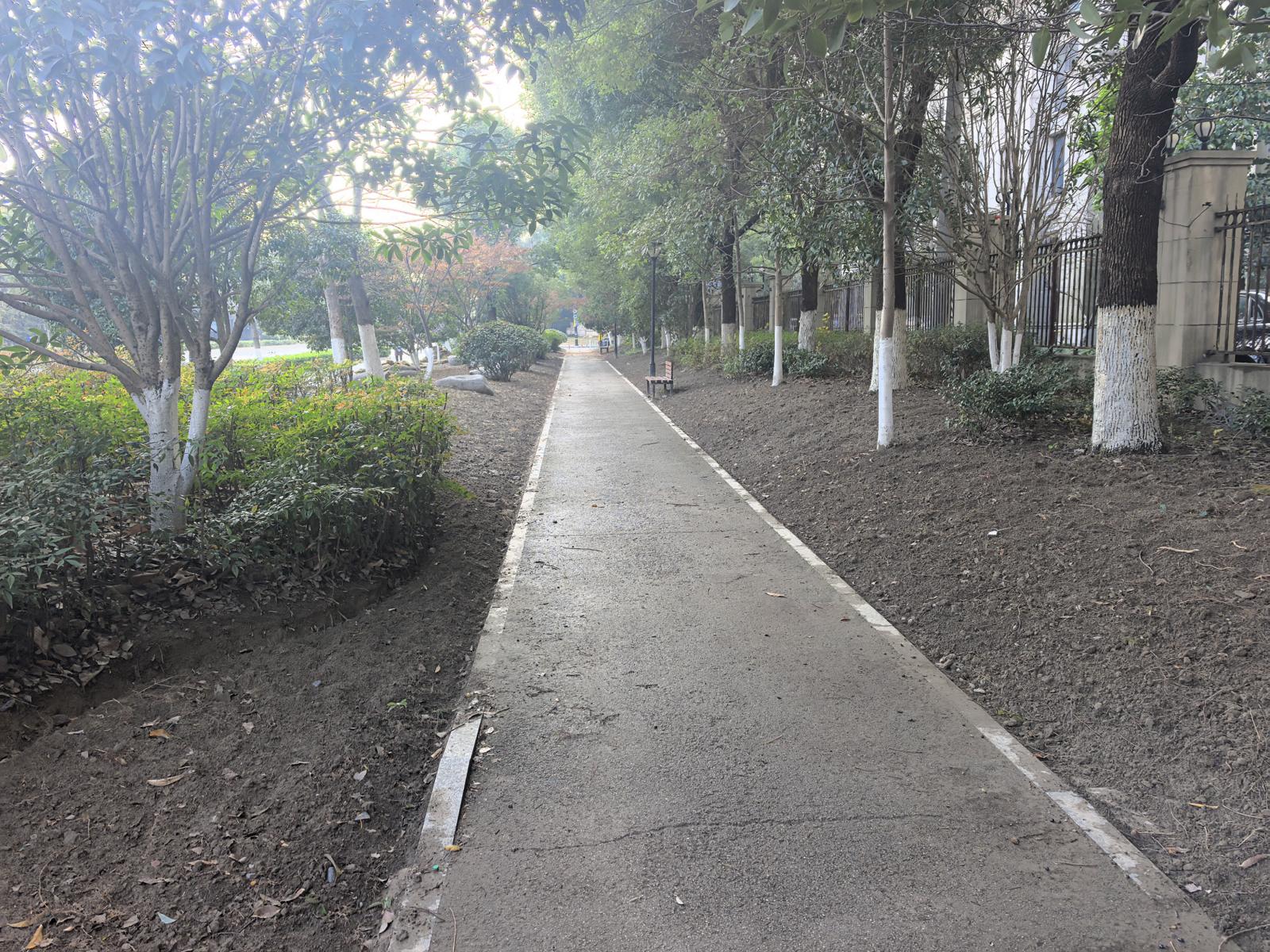 银海街绿地修整前