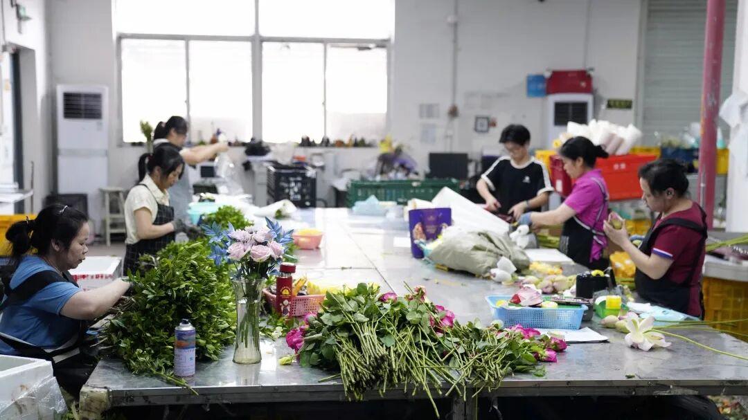 鲜花分拣工人正在挑选、打包产品