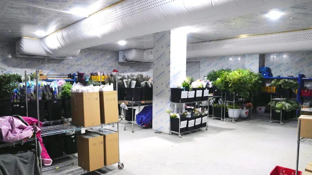 杭州茂嘉园艺有限公司恒温鲜花冷库