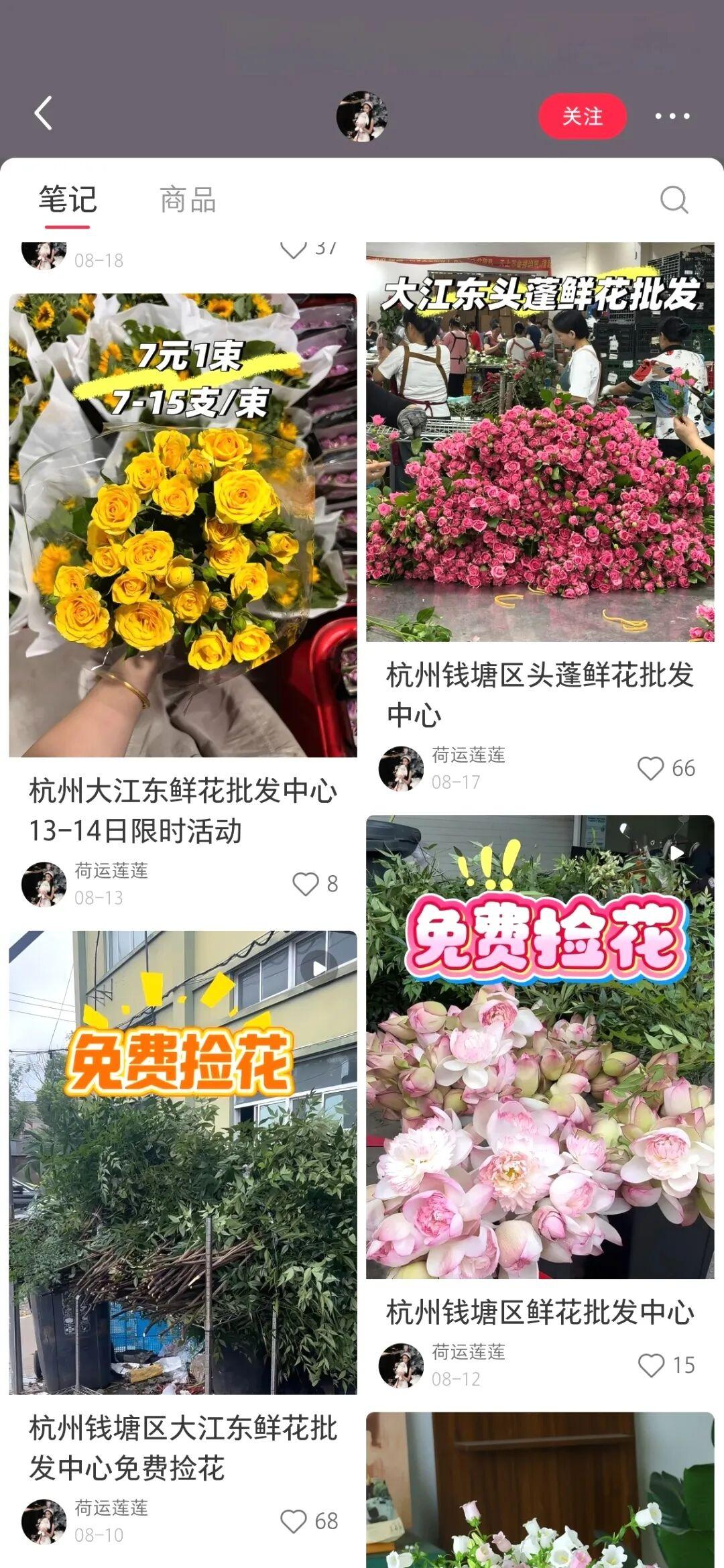 杭州茂嘉园艺有限公司运营账号“荷运莲莲” 图片